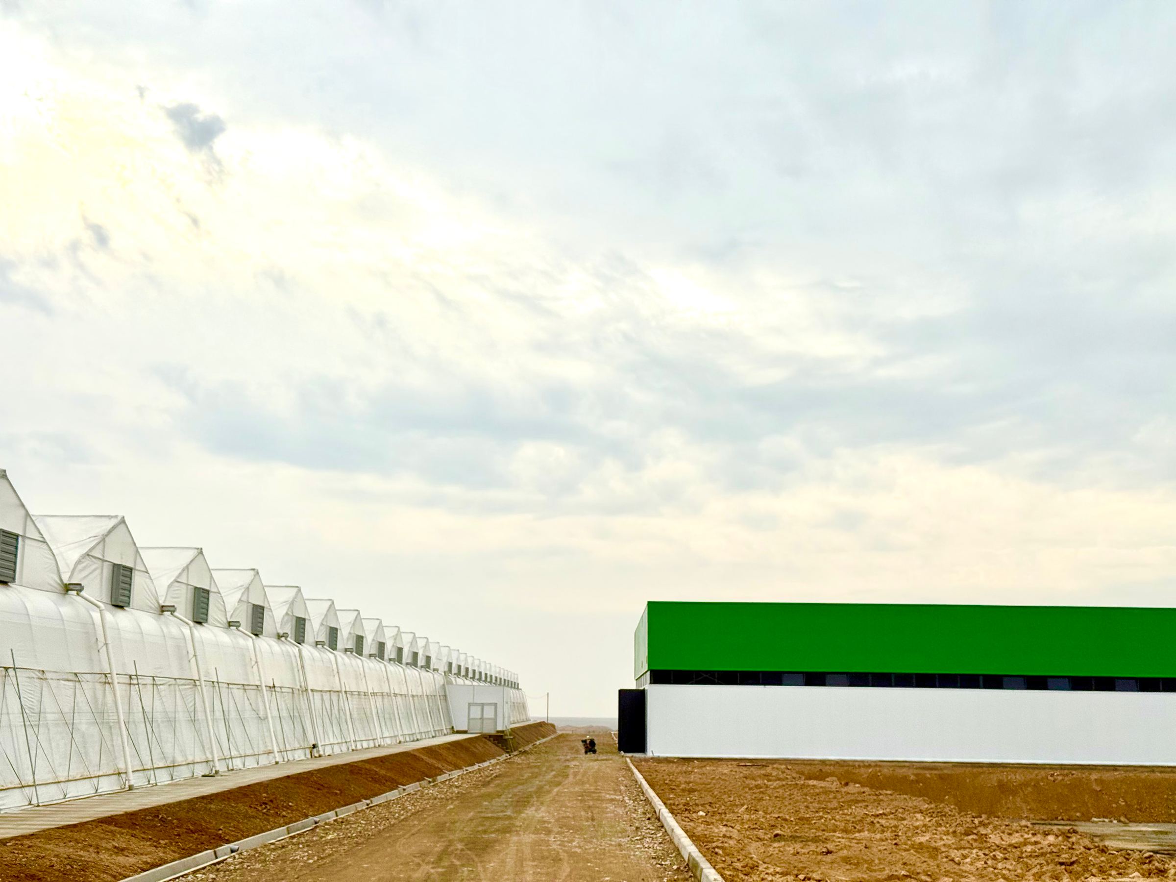Cluster site: Sunrise greenhouse and production building